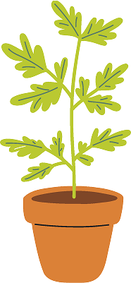 Arbre